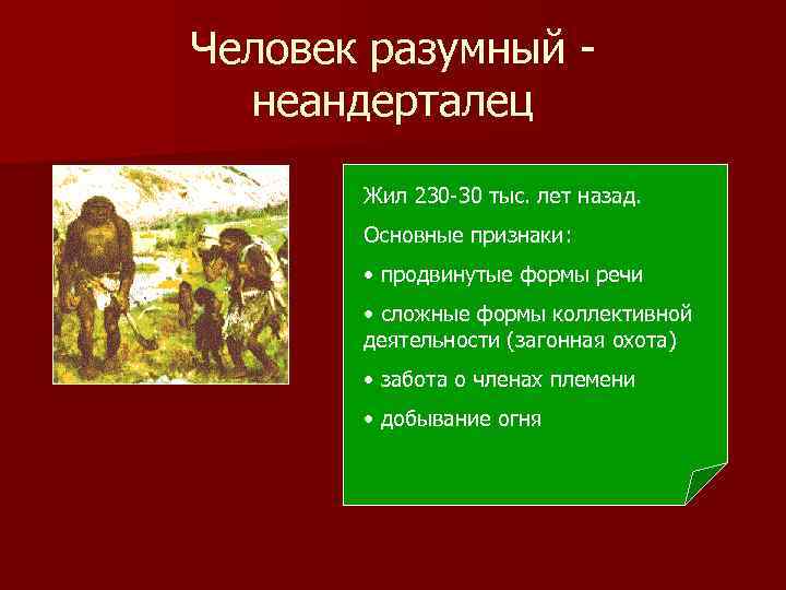 Человек разумный неандерталец Жил 230 -30 тыс. лет назад. Основные признаки: • продвинутые формы