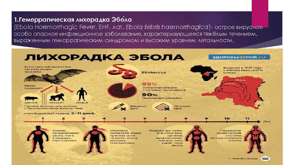 1. Геморрагическая лихорадка Эбо ла (Ebola Haemorrhagic Fever, EHF, лат. Ebola febris haemorrhagica)- острое