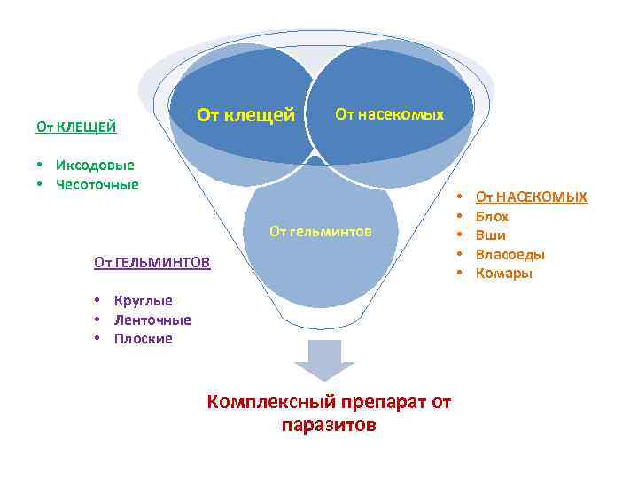 От КЛЕЩЕЙ От клещей От насекомых • Иксодовые • Чесоточные От гельминтов От ГЕЛЬМИНТОВ