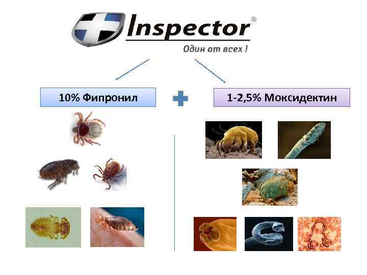 10% Фипронил 1 -2, 5% Моксидектин 