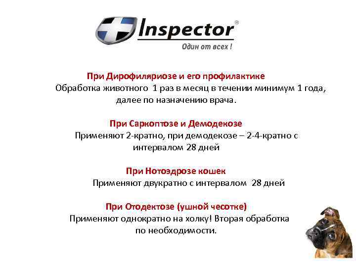 При Дирофиляриозе и его профилактике Обработка животного 1 раз в месяц в течении минимум