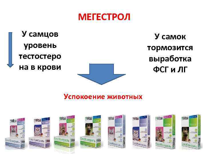  МЕГЕСТРОЛ У самцов уровень тестостеро на в крови У самок тормозится выработка ФСГ