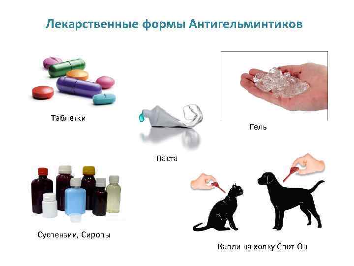 Лекарственные формы Антигельминтиков Таблетки Гель Паста Суспензии, Сиропы Капли на холку Спот-Он 