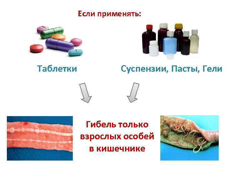 Если применять: Таблетки Суспензии, Пасты, Гели Гибель только взрослых особей в кишечнике 