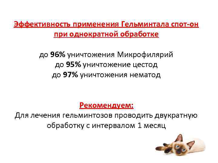 Эффективность применения Гельминтала спот-он при однократной обработке до 96% уничтожения Микрофилярий до 95% уничтожение