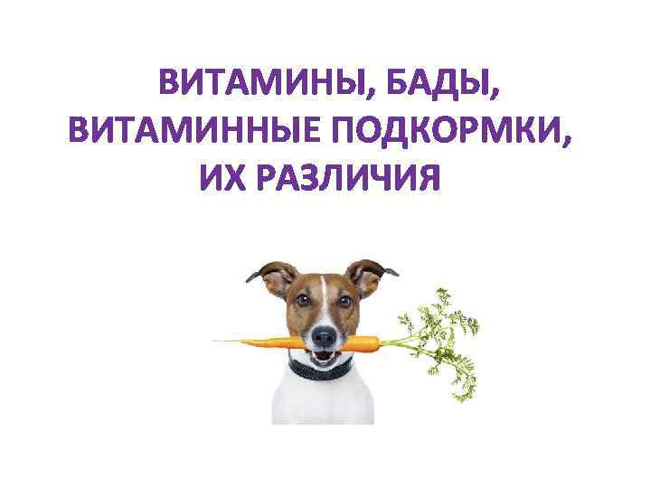  ВИТАМИНЫ, БАДЫ, ВИТАМИННЫЕ ПОДКОРМКИ, ИХ РАЗЛИЧИЯ 