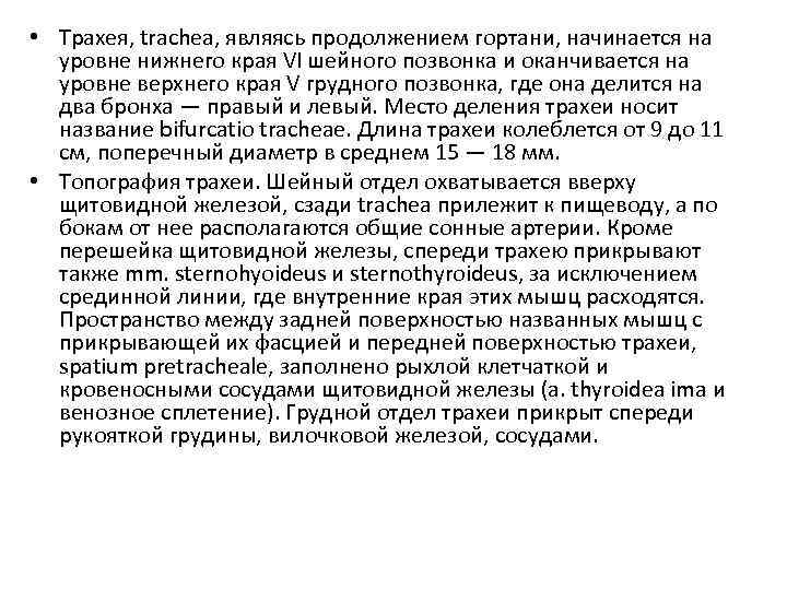  • Трахея, trachea, являясь продолжением гортани, начинается на уровне нижнего края VI шейного