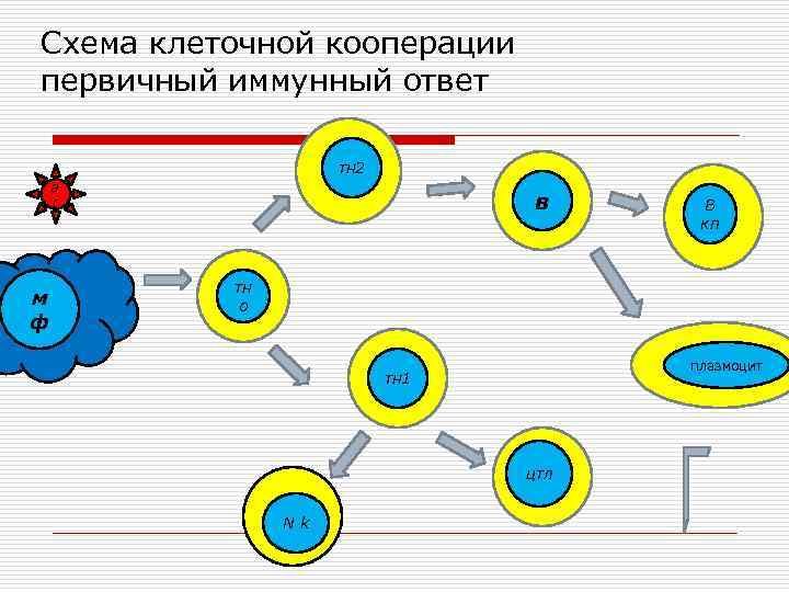 Межклеточная кооперация схема