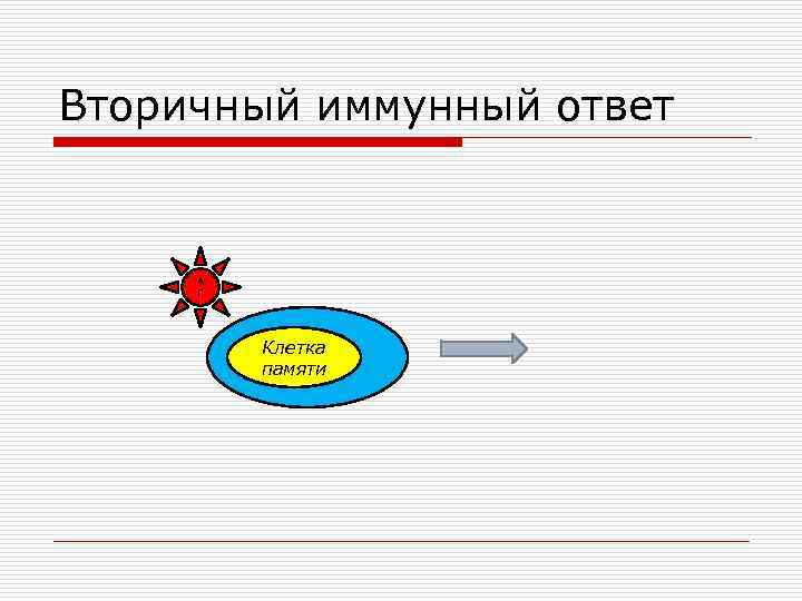 Вторичный иммунный ответ А Г Клетка памяти 