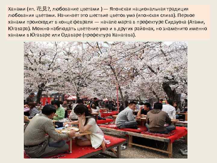 Ханами (яп. 花見? , любование цветами ) — Японская национальная традиция любования цветами. Начинает