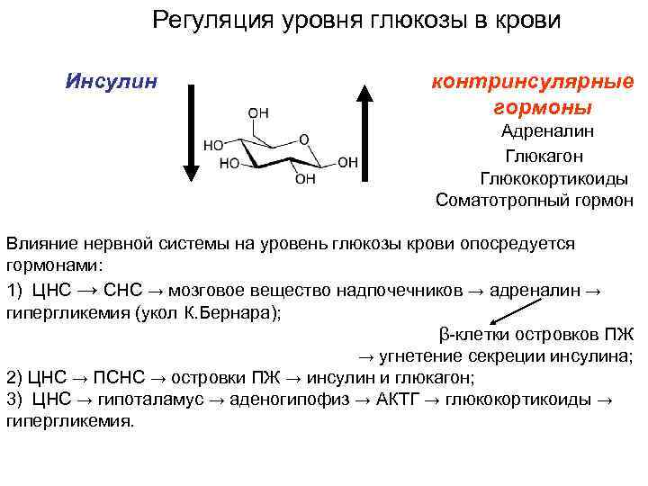 Регуляция уровня глюкозы в крови Инсулин контринсулярные гормоны , Адреналин , Глюкагон , Глюкокортикоиды