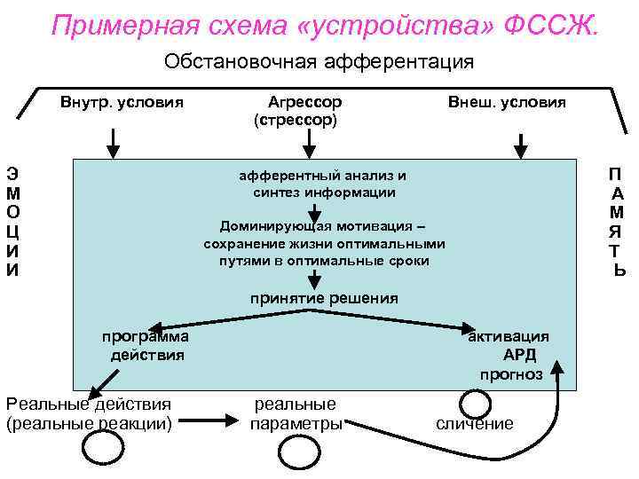 Примерная схема «устройства» ФССЖ. Обстановочная афферентация Внутр. условия Э М О Ц И И