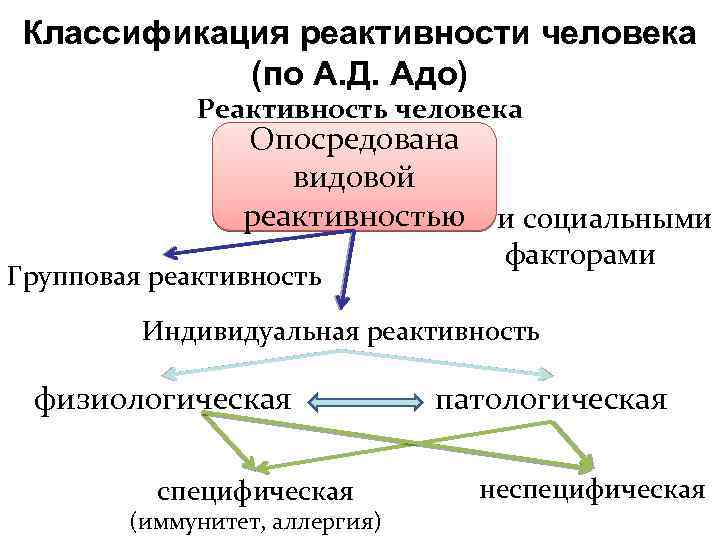 Видовая реактивность. Классификация реактивности. Реактивность организма классификация. Классификация индивидуальной реактивности. Классификация реактивность адо.