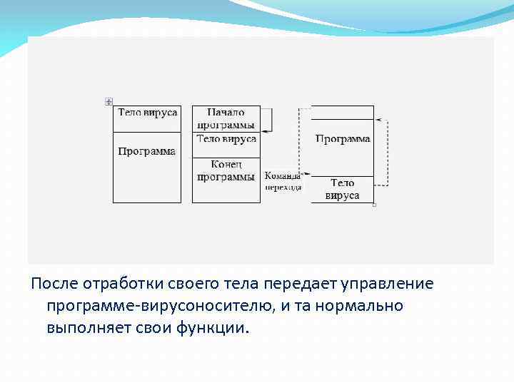 После отработки своего тела передает управление программе вирусоносителю, и та нормально выполняет свои функции.