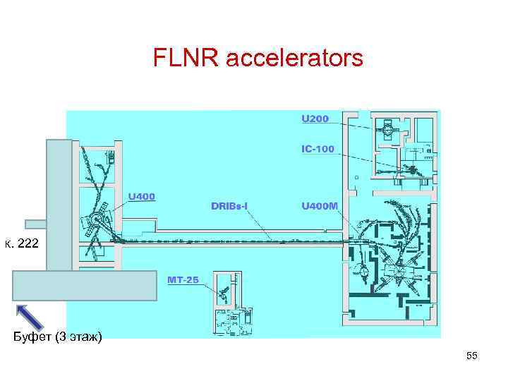 FLNR accelerators К. 222 Буфет (3 этаж) 55 