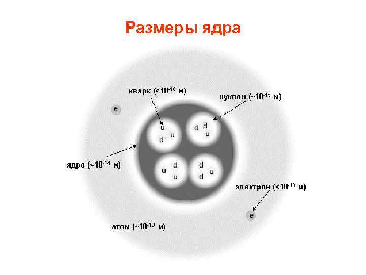 Размеры ядра 
