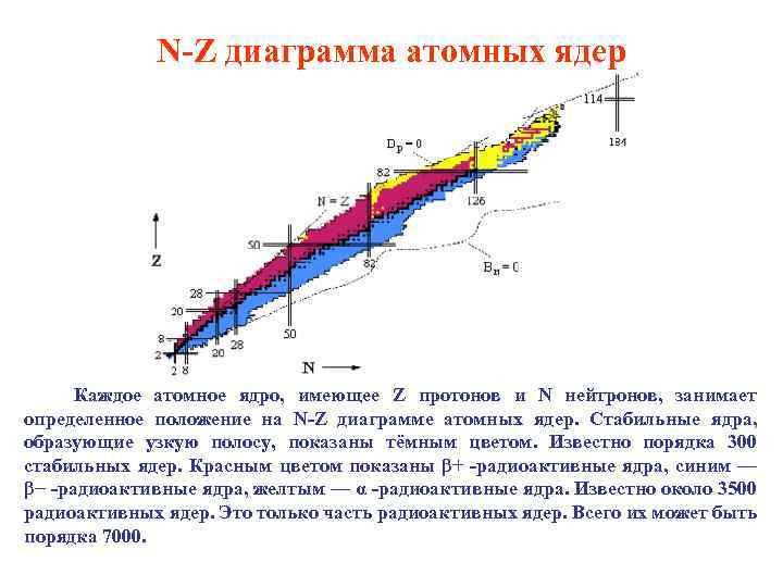 N-Z диаграмма атомных ядер Каждое атомное ядро, имеющее Z протонов и N нейтронов, занимает