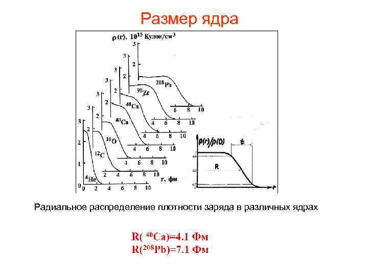 Размер ядра Радиальное распределение плотности заряда в различных ядрах 