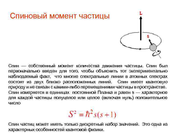 Спиновый момент частицы Спин — собственный момент количества движения частицы. Спин был первоначально введен