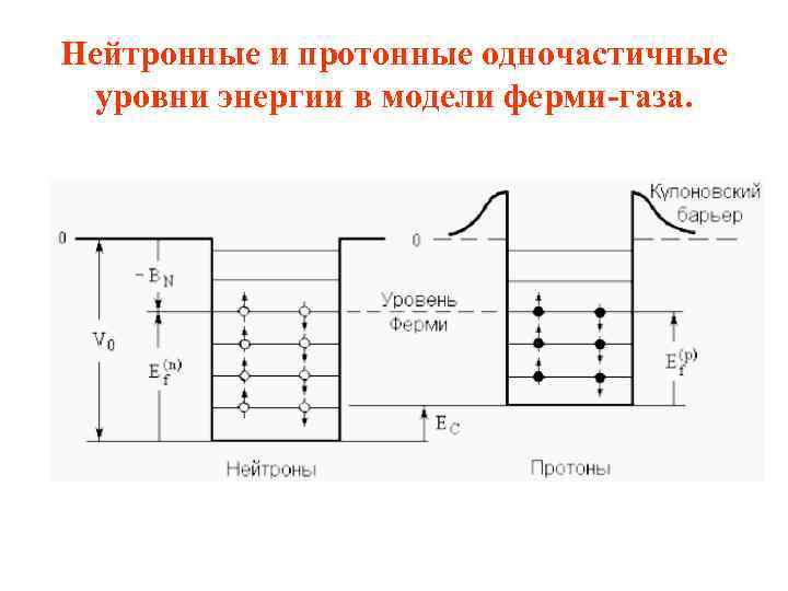 Нейтронные и протонные одночастичные уровни энергии в модели ферми-газа. 