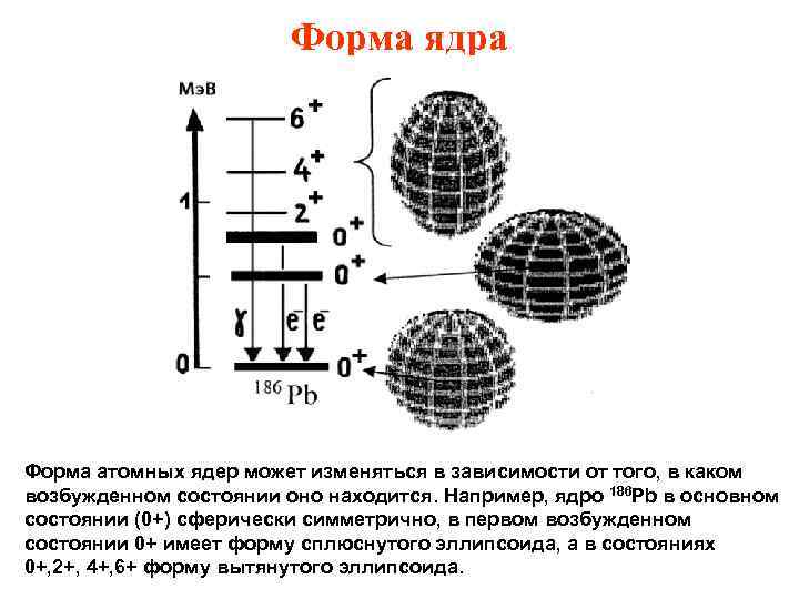 Форма ядра Форма атомных ядер может изменяться в зависимости от того, в каком возбужденном