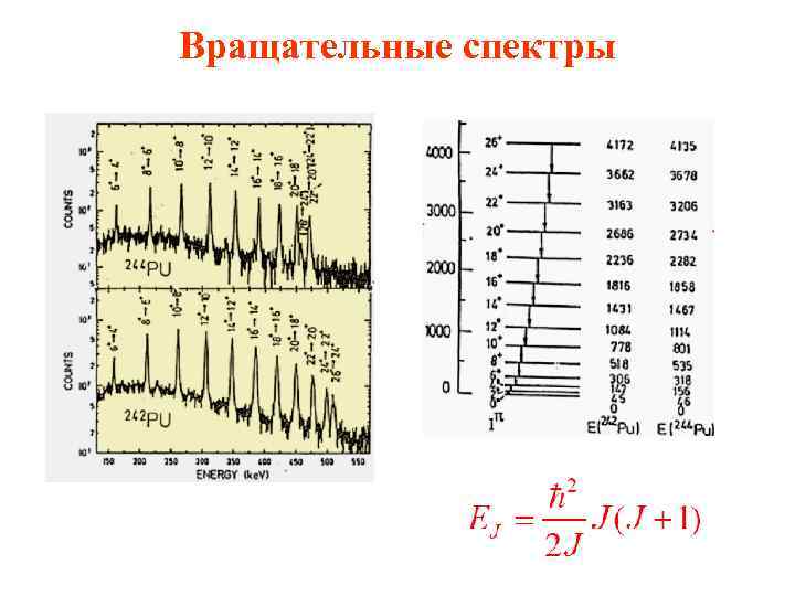 Вращательные спектры 