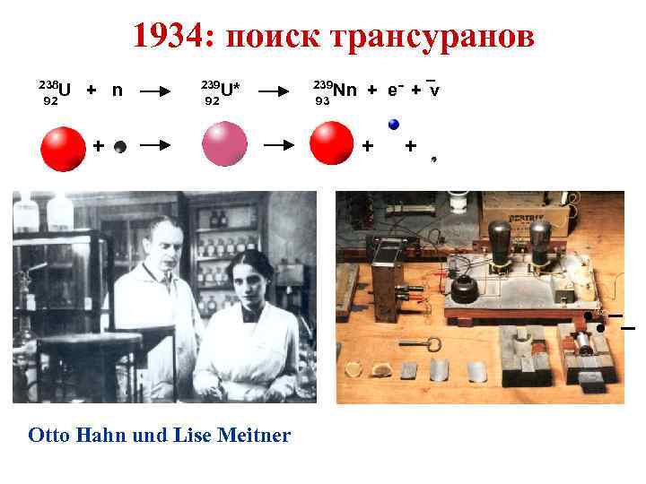  1934: поиск трансуранов 238 U 92 + n → 239 U* 92 →