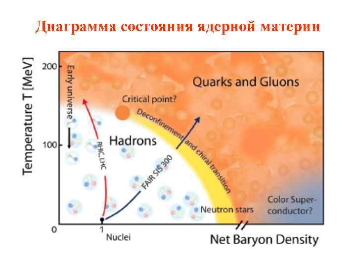 Диаграмма состояния ядерной материи 