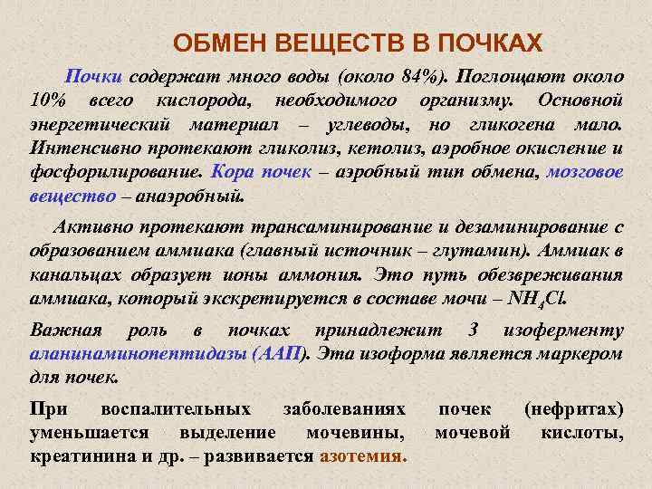 Обмен почками. Особенности метаболизма почек. Почки обмен веществ. Метаболизм почек биохимия. Особенности обмена веществ в почках.