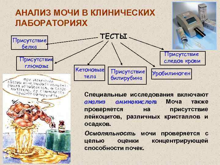 Общее тоновое состояние натуры и рисунка