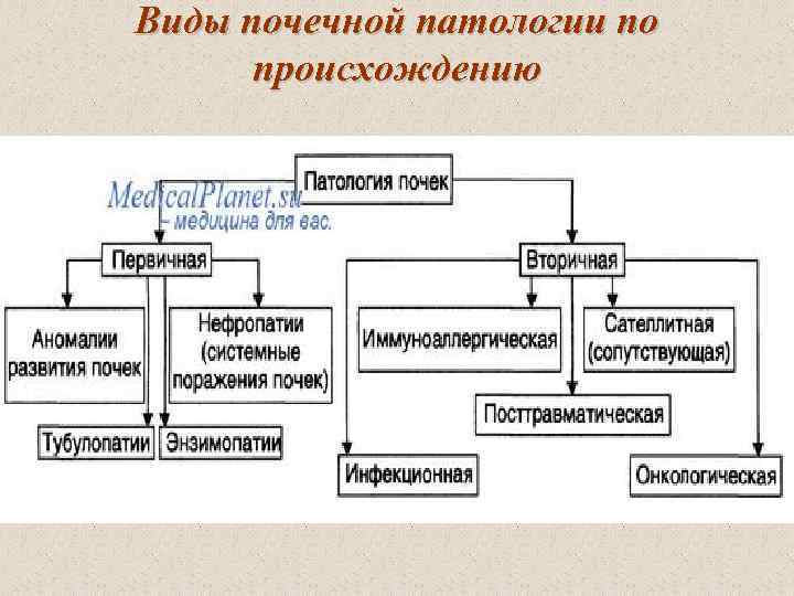 Виды почечной патологии по происхождению 