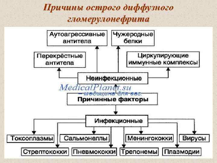 Причины острого диффузного гломерулонефрита 