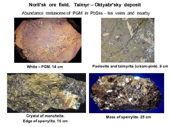 Noril'sk ore field. Taimyr – Oktyabr'sky deposit Abundance metasome of PGM in Pb. Sss