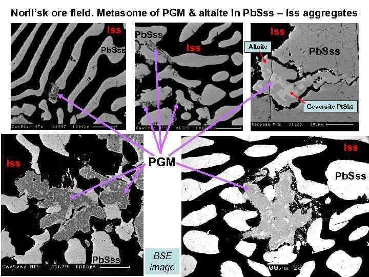 Noril’sk ore field. Metasome of PGM & altaite in Pb. Sss – Iss aggregates