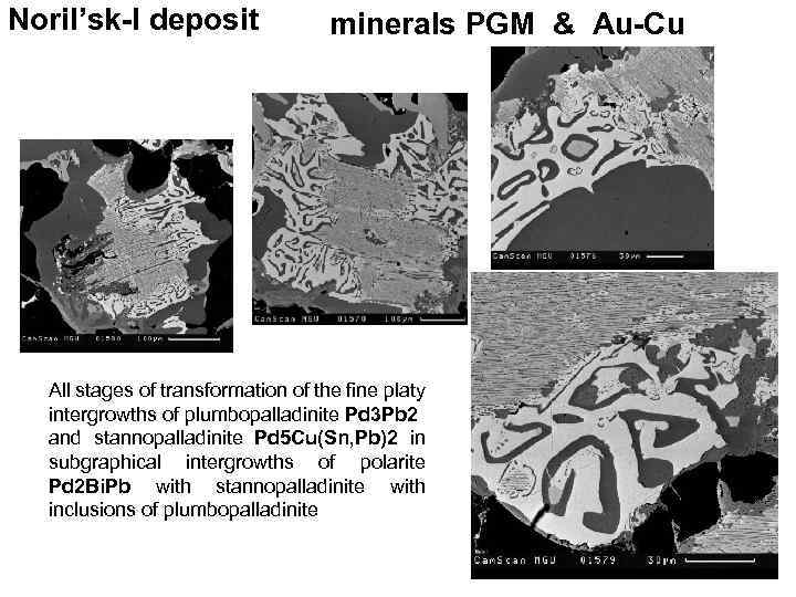 Noril’sk-I deposit minerals PGM & Au-Cu All stages of transformation of the fine platy