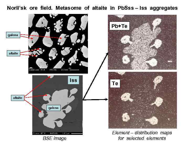 Noril’sk ore field. Metasome of altaite in Pb. Sss – Iss aggregates Pb+Te galena