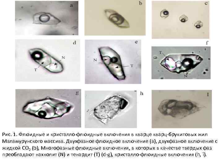 Рис. 1. Флюидные и кристалло-флюидные включения в кварце кварц-брукитовых жил Маламурунского массива. Двухфазное флюидное