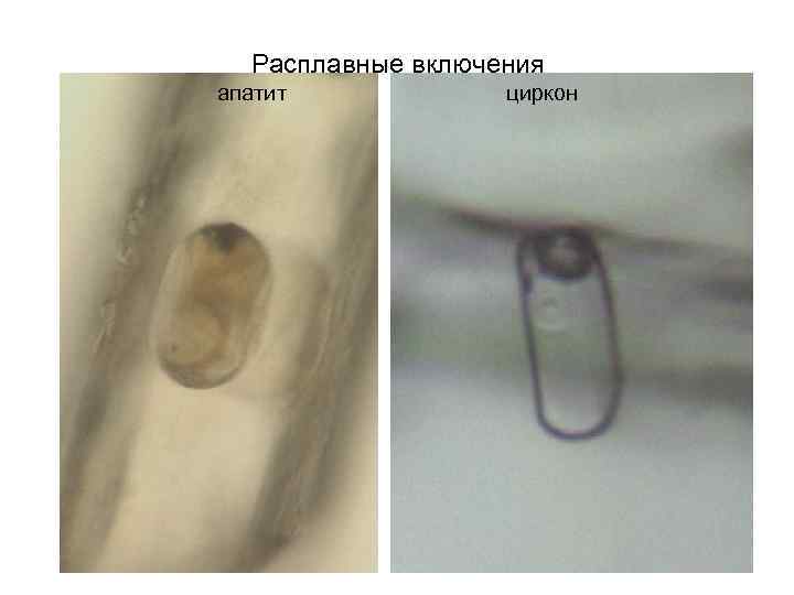 Расплавные включения апатит циркон 