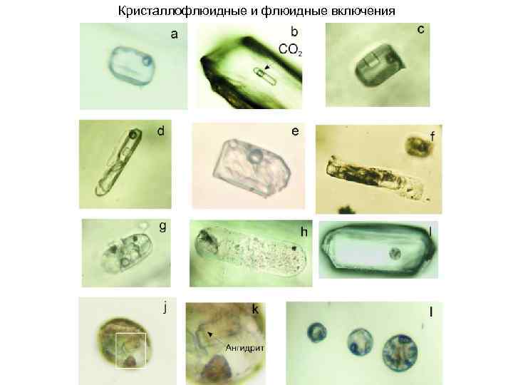 Кристаллофлюидные и флюидные включения 