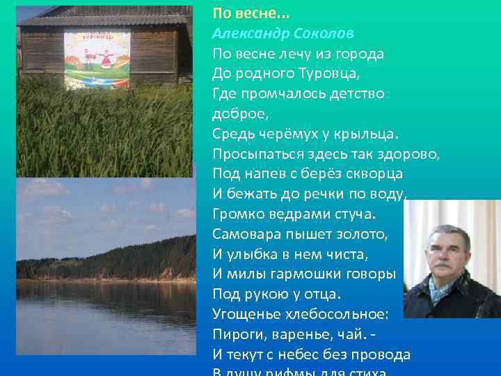 По весне. . . Александр Соколов По весне лечу из города До родного Туровца,