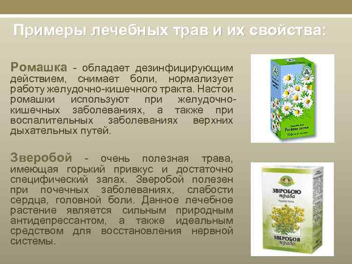 Примеры лечебных трав и их свойства: Ромашка - обладает дезинфицирующим действием, снимает боли, нормализует