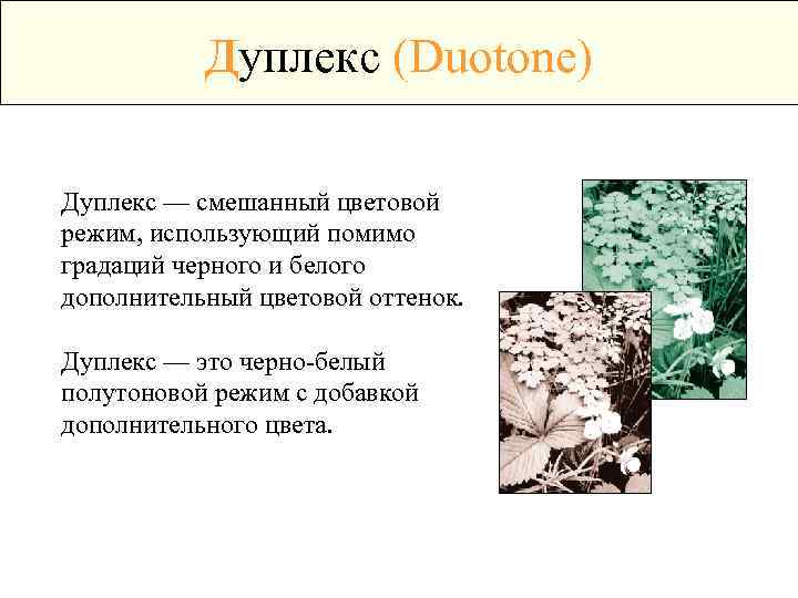 Дуплекс (Duotone) Дуплекс — смешанный цветовой режим, использующий помимо градаций черного и белого дополнительный