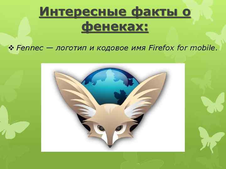 v Fennec — логотип и кодовое имя Firefox for mobile. 