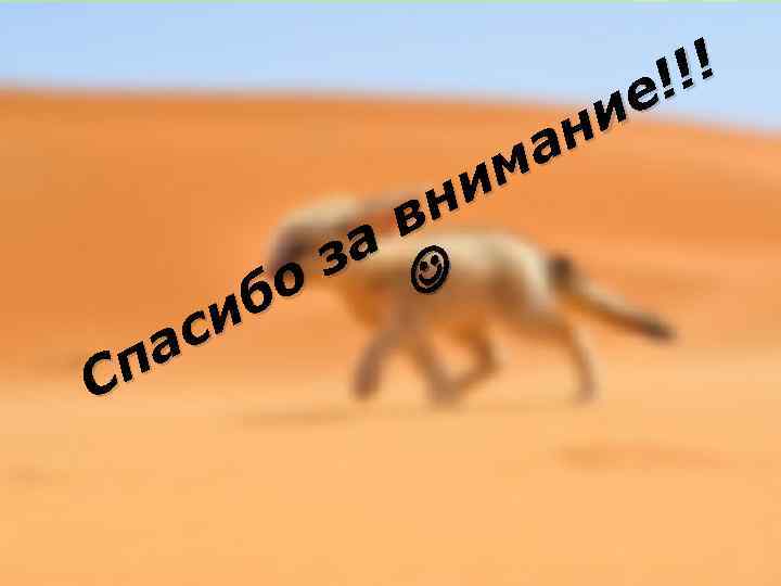 !! ! е и н а м и н в за о б си