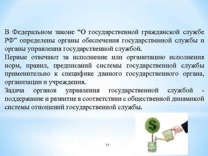 В Федеральном законе “О государственной гражданской службе РФ” определены органы обеспечения государственной службы и
