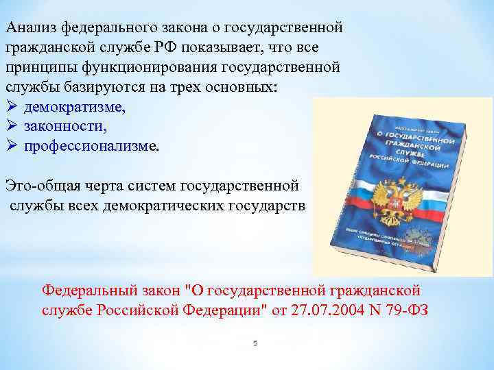 Анализ федерального закона о государственной гражданской службе РФ показывает, что все принципы функционирования государственной