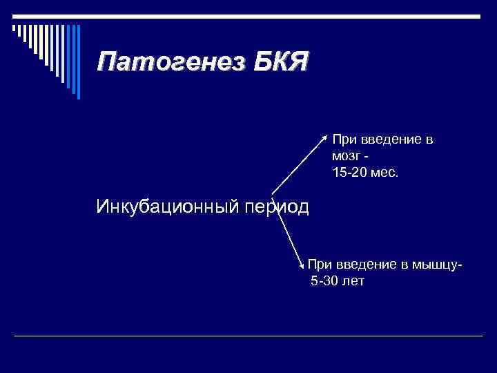 Патогенез БКЯ При введение в мозг 15 -20 мес. Инкубационный период При введение в