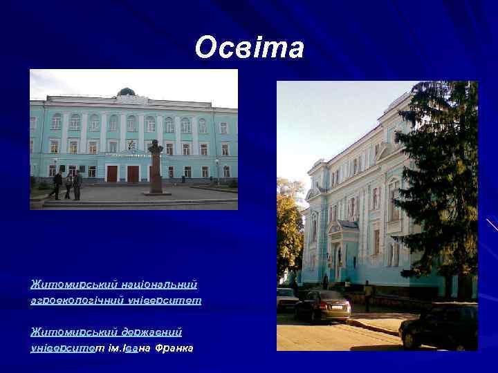 Освіта Житомирський національний агроекологічний університет Житомирський державний університет ім. Івана Франка 