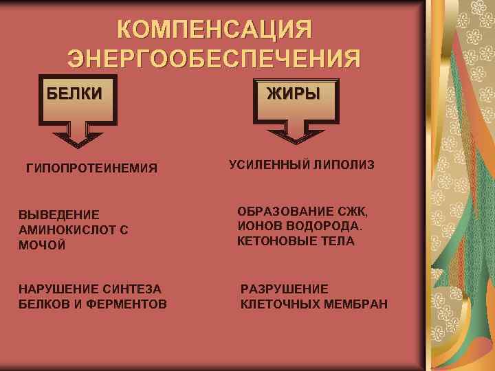 КОМПЕНСАЦИЯ ЭНЕРГООБЕСПЕЧЕНИЯ БЕЛКИ ГИПОПРОТЕИНЕМИЯ ВЫВЕДЕНИЕ АМИНОКИСЛОТ С МОЧОЙ НАРУШЕНИЕ СИНТЕЗА БЕЛКОВ И ФЕРМЕНТОВ ЖИРЫ