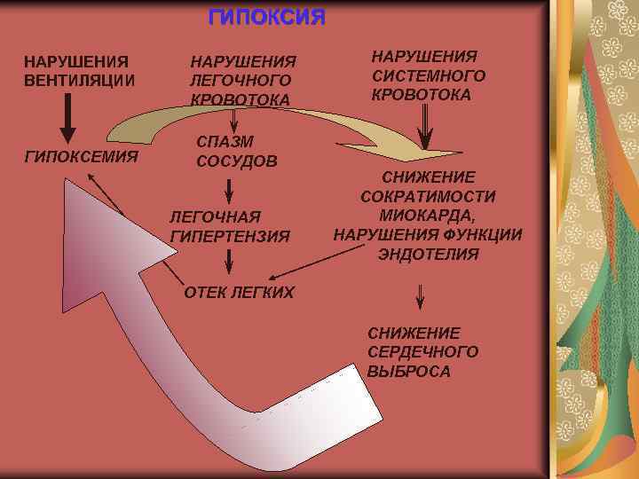 ГИПОКСИЯ НАРУШЕНИЯ ВЕНТИЛЯЦИИ ГИПОКСЕМИЯ НАРУШЕНИЯ ЛЕГОЧНОГО КРОВОТОКА СПАЗМ СОСУДОВ ЛЕГОЧНАЯ ГИПЕРТЕНЗИЯ НАРУШЕНИЯ СИСТЕМНОГО КРОВОТОКА